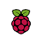 icon Raspberry Pi